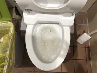 詰まったトイレの様子